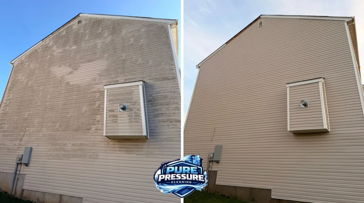 Algae-streaked siding on the shaded side of a house, before and after.