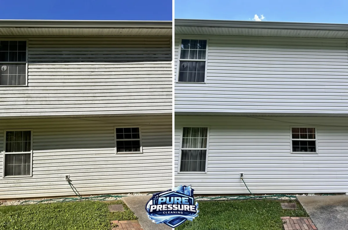 House soft wash — full elevation