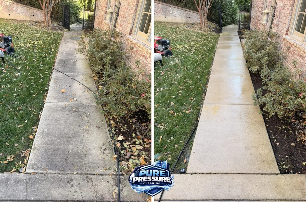 Walkway with leaf stain and growth